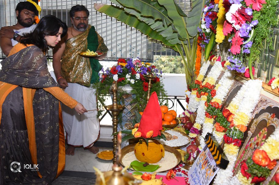 Ismart-shankar-Movie-Launch-Photos